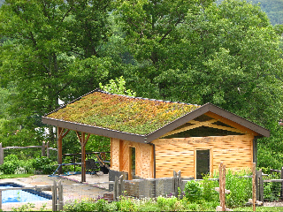 sedum-roof